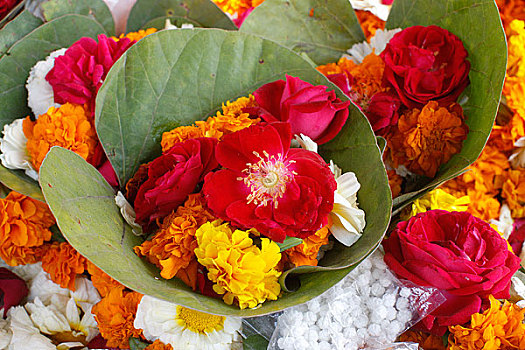 印度,花,供品