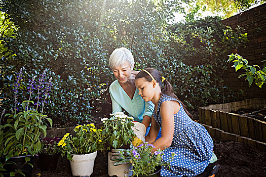 祖母,看,女孩,种植,花盆,孙女,后院