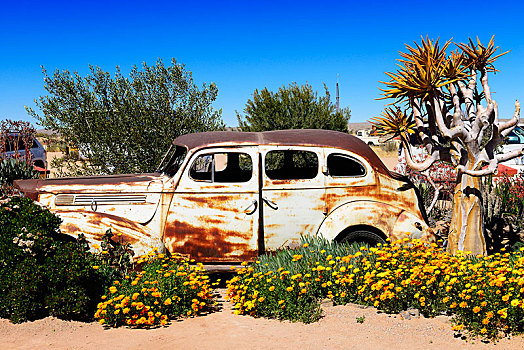 老爷车,残骸,花园,峡谷,纳米比亚,非洲