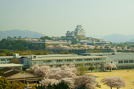 姬路城堡,春天,兵库,日本