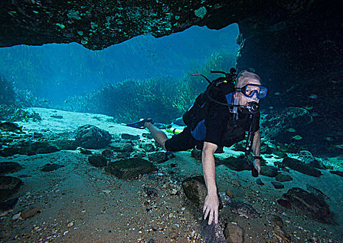潜水,蓝色,春天,洞穴,佛罗里达