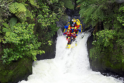筏子,瀑布,河,靠近,罗托鲁瓦,新西兰