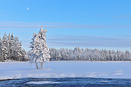 河,库萨莫,北方,芬兰