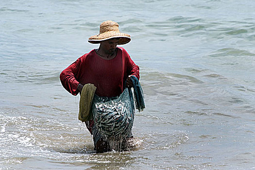 渔民,抓住,岸边,洗,鱼,海中,斯里兰卡,七月,2007年