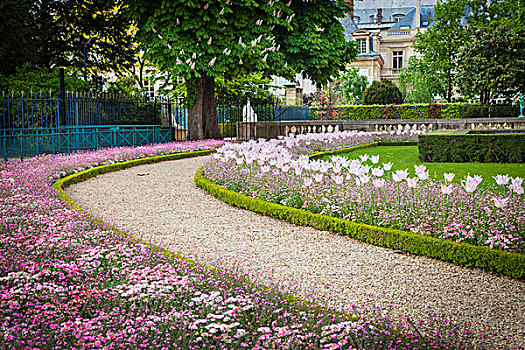 花园,人行道,卢森堡,巴黎,法国
