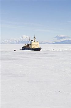 破冰船,罗斯海,岛屿,南极