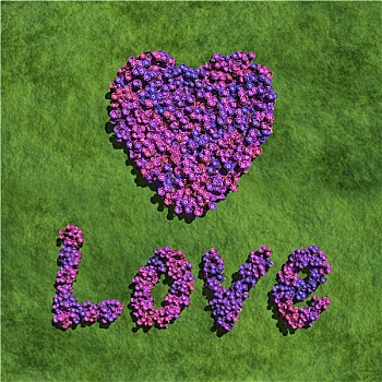 紫色,喜爱,心形,创作,花,草