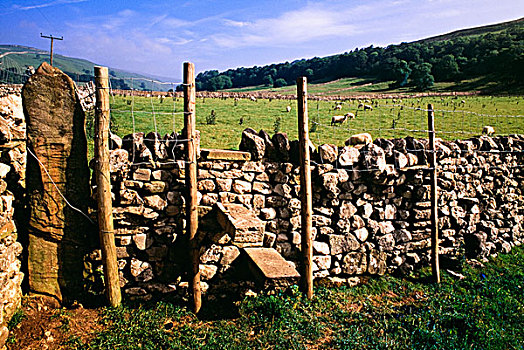石头,栅栏,约克郡溪谷国家公园,英格兰