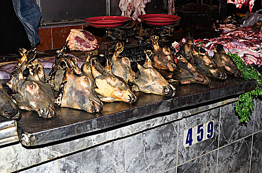 台面,山羊,头部,出售,露天市场,阿加迪尔,摩洛哥