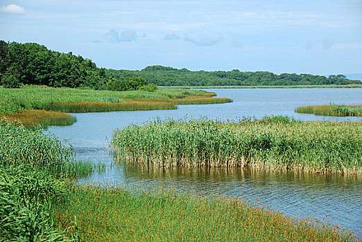 湿地,湖