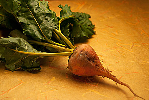 一个,有机,金色,甜菜