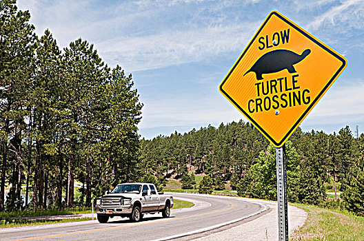 龟,穿过,标识,路边,湖,卡斯特州立公园,南达科他,美国