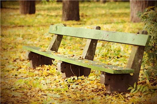 木制长椅,秋天,公园