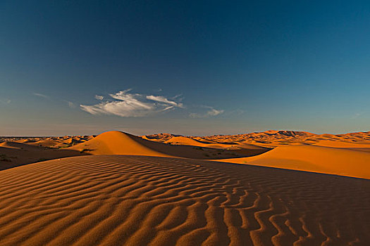 摩洛哥,沙丘,黄昏,靠近,梅如卡,撒哈拉沙漠,却比沙丘,区域