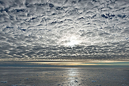 冰,边缘,浮冰,北冰洋,斯匹次卑尔根岛,斯瓦尔巴特群岛,岛屿,挪威,欧洲