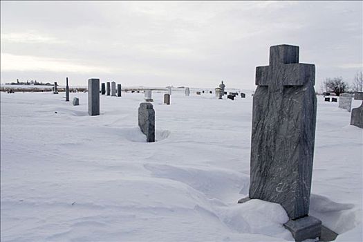 墓碑,积雪,墓地,草原,曼尼托巴,加拿大