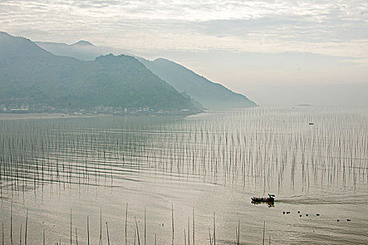 福建宁德市霞浦县北岐村滩涂早晨行驶的渔船