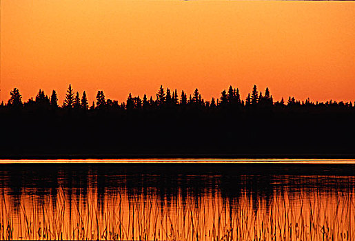 日落,湖,国家公园,萨斯喀彻温,加拿大
