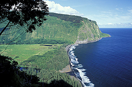 美国,夏威夷,夏威夷大岛,悬崖,海岸,入口,山谷