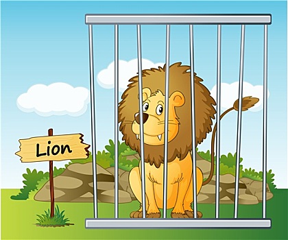 狮子,笼子