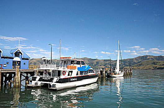 码头,阿卡罗瓦,新西兰