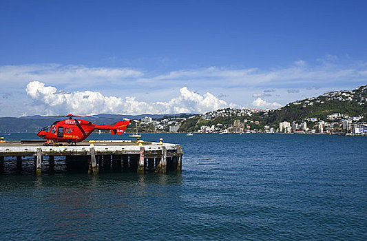 新西兰,北岛,惠灵顿,水岸,港口,直升飞机