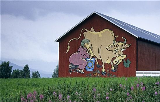 滑稽,涂绘,谷仓,女人,挤奶,母牛,挪威,斯堪的纳维亚,欧洲