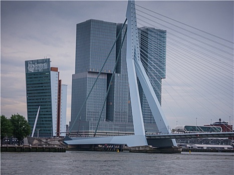 桥,鹿特丹,荷兰,阴天