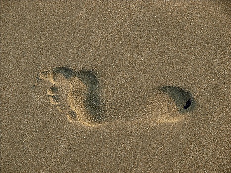 脚印,湿,沙子
