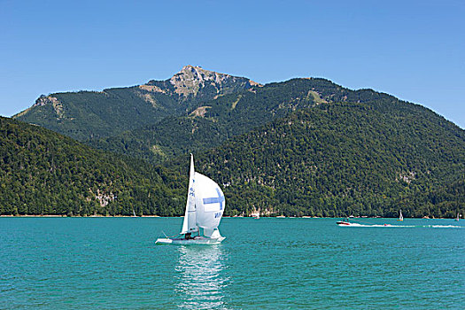 帆船,湖,山,萨尔茨卡莫古特,萨尔茨堡州,奥地利,欧洲