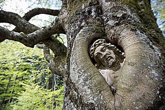 石像,耶稣,山毛榉树,靠近,黑森林,巴登符腾堡,德国,欧洲