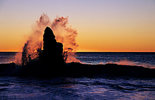 一个,石头,贻贝,海滩,西海岸,南岛,新西兰