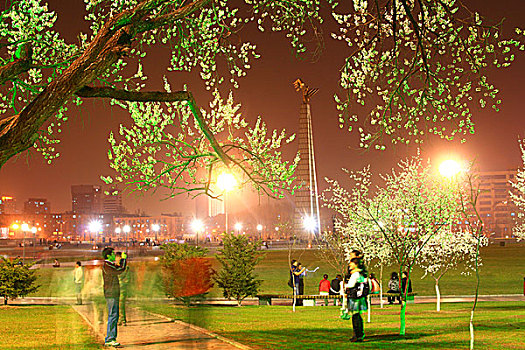 吉林长春文化广场夜景花卉