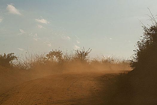 尘土,道路,坦桑尼亚,非洲
