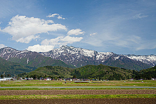 乡村,新泻,日本,亚洲