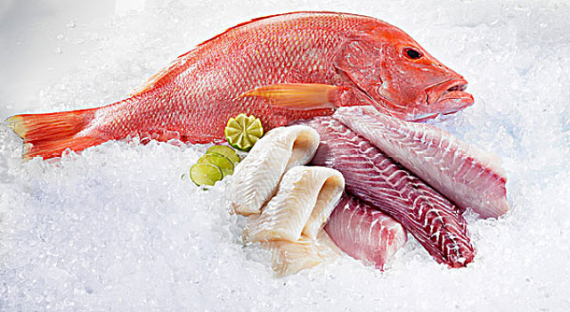 红鲷鱼,鹦嘴鱼,肉片