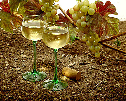 法国,阿尔萨斯,玻璃杯,白葡萄酒,葡萄