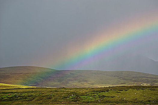 彩虹,西部,高地,斯凯岛,苏格兰,英国,欧洲