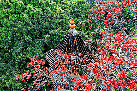 佛山市三水区大旗头古村