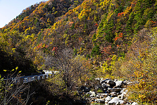 秦岭山