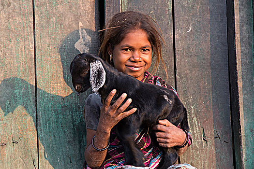 亚洲,印度,拉贾斯坦邦,乌代浦尔,女孩,拿着,山羊,使用,只有