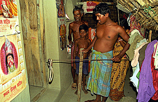 抓住,蛇,乡村,戈萨巴,孙德尔本斯地区,红树林,树林,孟加拉,世界遗产,西孟加拉,印度,九月,2005年