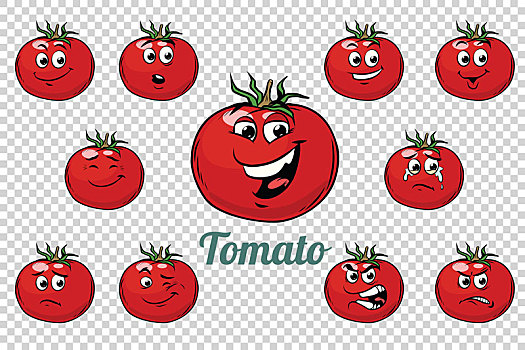 西红柿,情感,收集