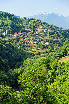 山村,靠近,萨拉热窝,波斯尼亚,黑塞哥维那,欧洲