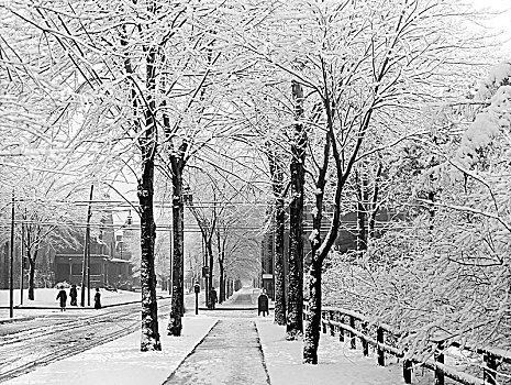 冬天,街景,底特律,密歇根,美国,雪,街道,历史