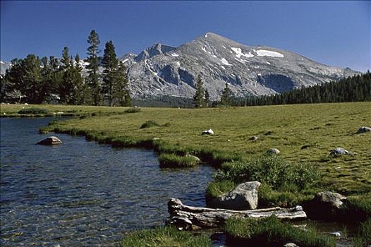 顶峰,山中小湖,优胜美地国家公园,加利福尼亚,美国