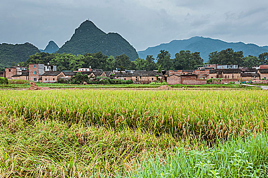 美丽田园