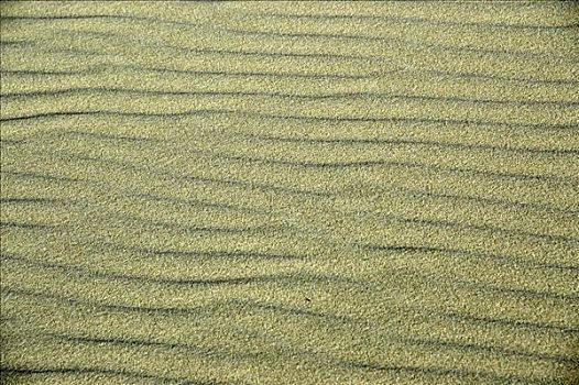 沙子,沙丘,戈壁沙漠,国家公园,蒙古