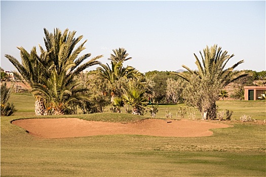 高尔夫球场,马拉喀什,摩洛哥