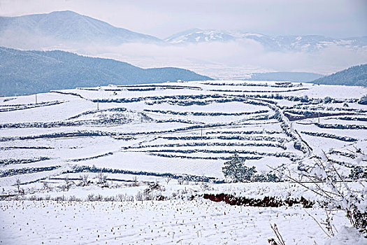 云南东川红土地雪原